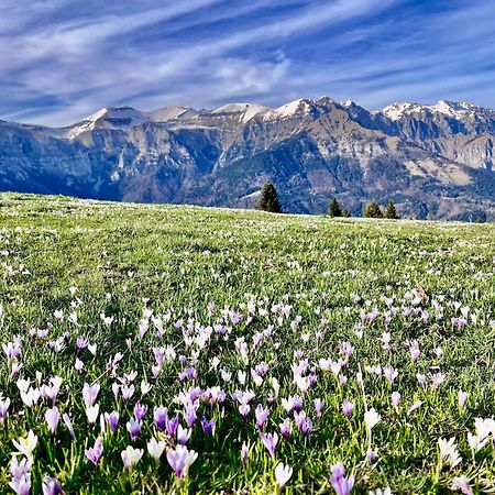 Вилла Casa Delle Arti Fattoria Dei Fiori Sospirolo Экстерьер фото