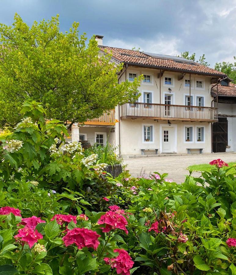 Вилла Casa Delle Arti Fattoria Dei Fiori Sospirolo Экстерьер фото