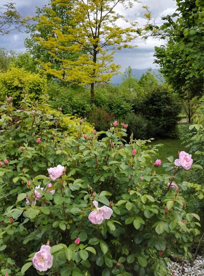Вилла Casa Delle Arti Fattoria Dei Fiori Sospirolo Экстерьер фото