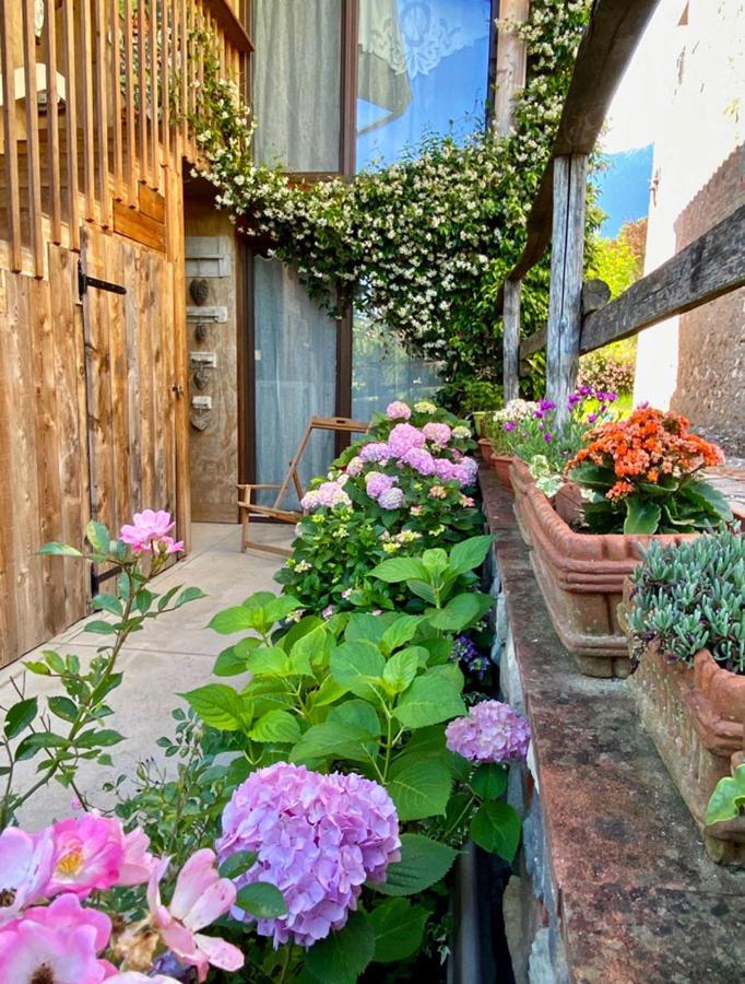 Вилла Casa Delle Arti Fattoria Dei Fiori Sospirolo Экстерьер фото