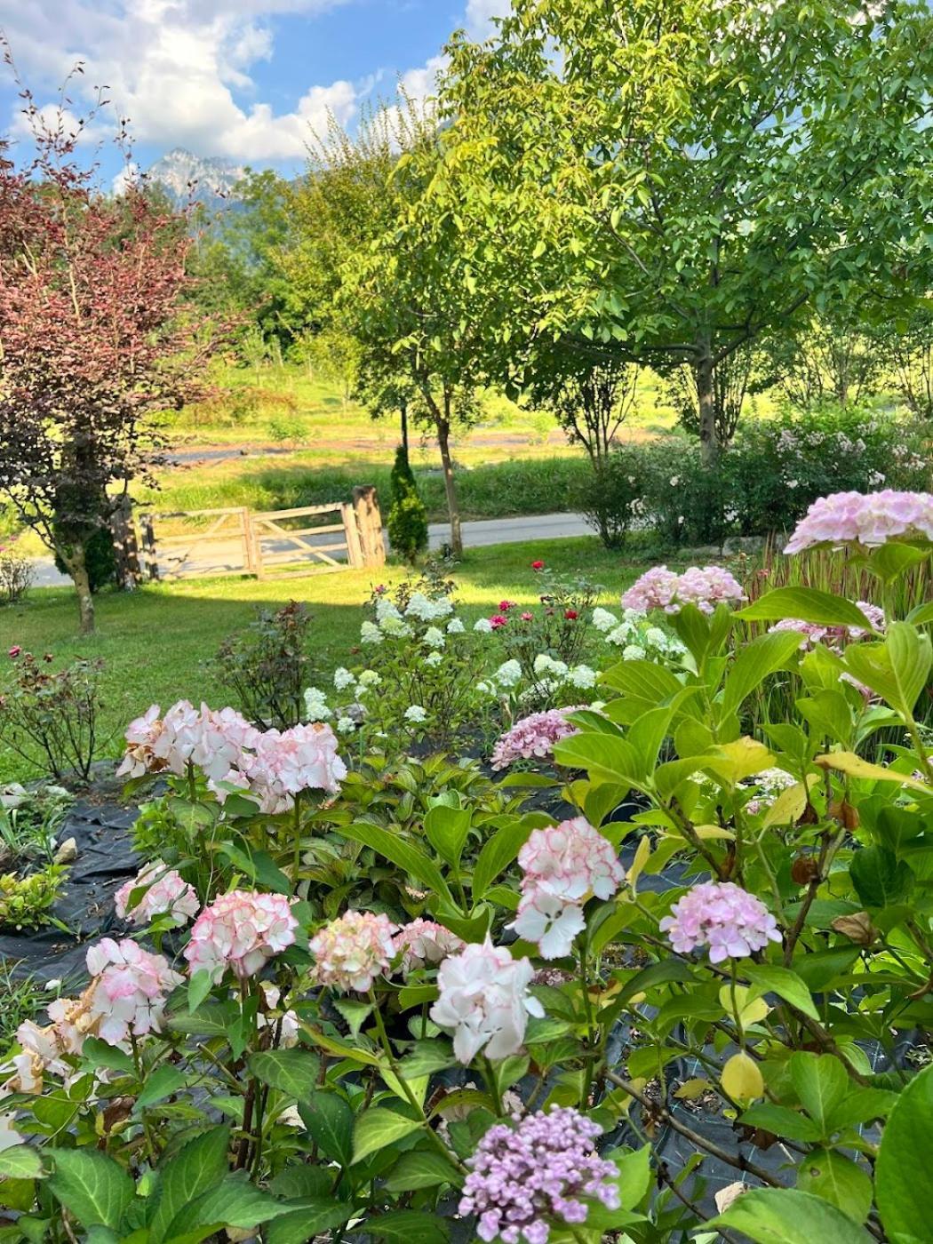 Вилла Casa Delle Arti Fattoria Dei Fiori Sospirolo Экстерьер фото