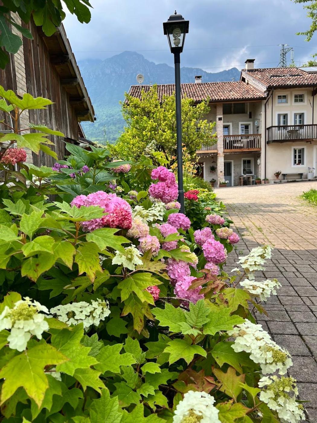 Вилла Casa Delle Arti Fattoria Dei Fiori Sospirolo Экстерьер фото