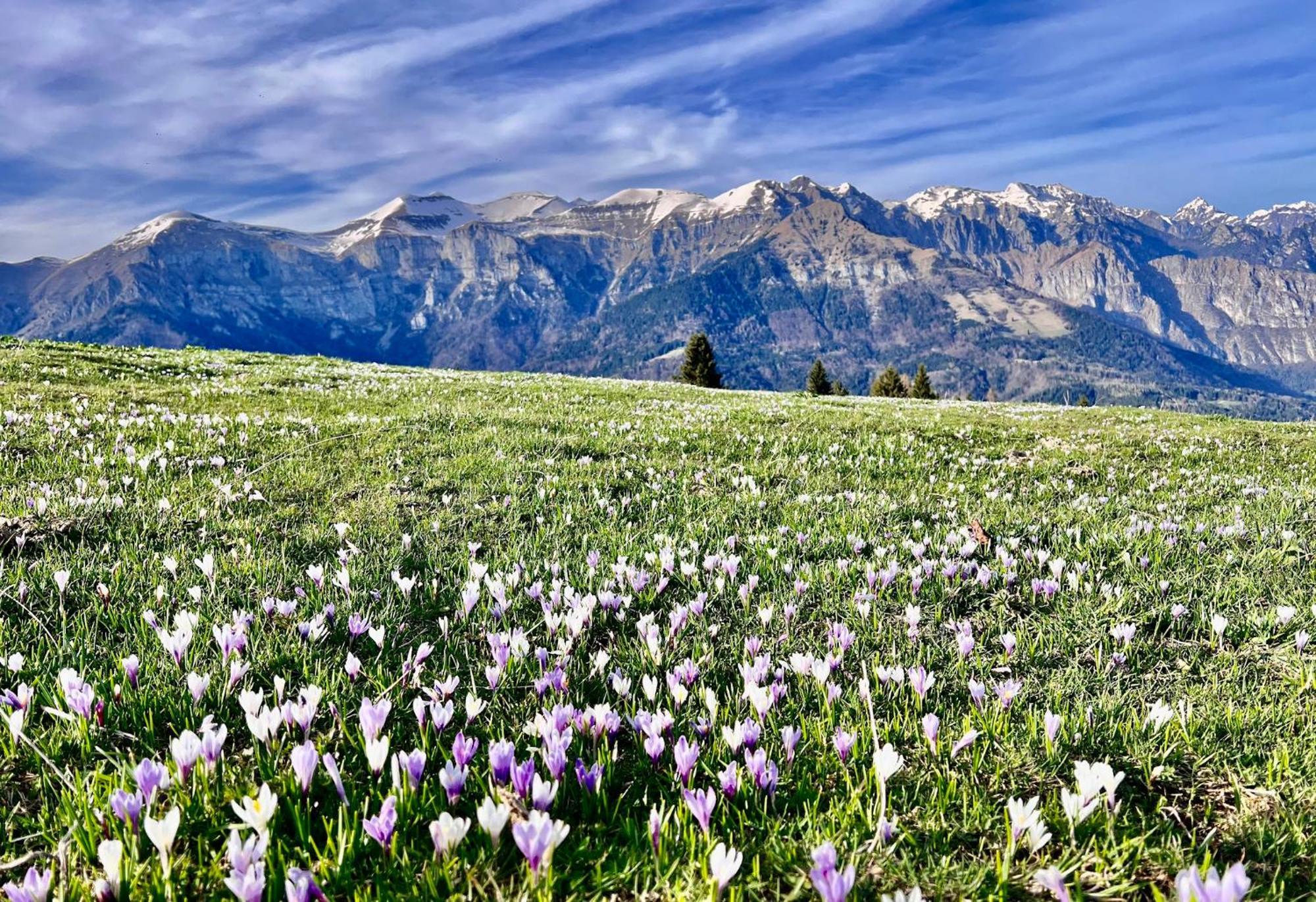 Вилла Casa Delle Arti Fattoria Dei Fiori Sospirolo Экстерьер фото
